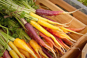 Countryside Conservancy 