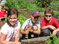 Pastoral Counseling Services